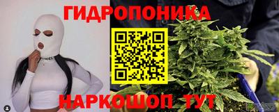 прущие крисы Краснознаменск