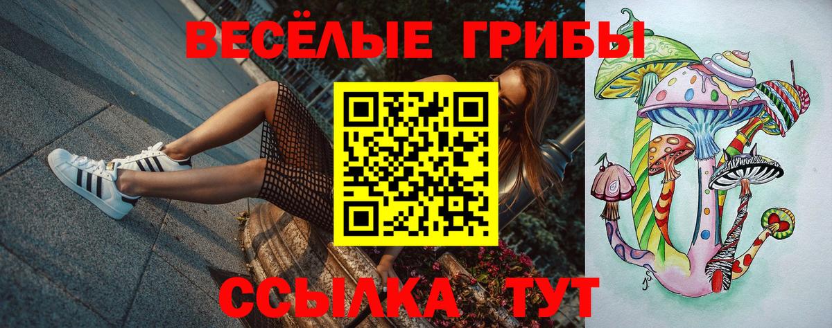 Псилоцибиновые грибы мухоморы  Вход с VPN  Елабуга 