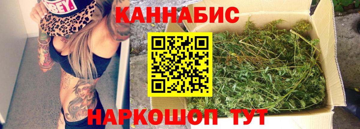 Бошки Шишки семена  Вход с VPN  Марихуана OG Kush  Конопля семена  Елабуга 